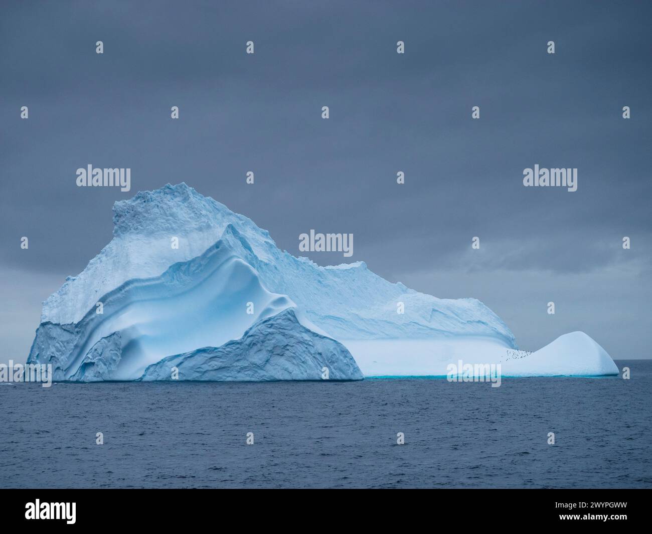 Iceberg dans le détroit de Brandsfield entre les Shetlands du Sud et la péninsule Antarctique. Banque D'Images