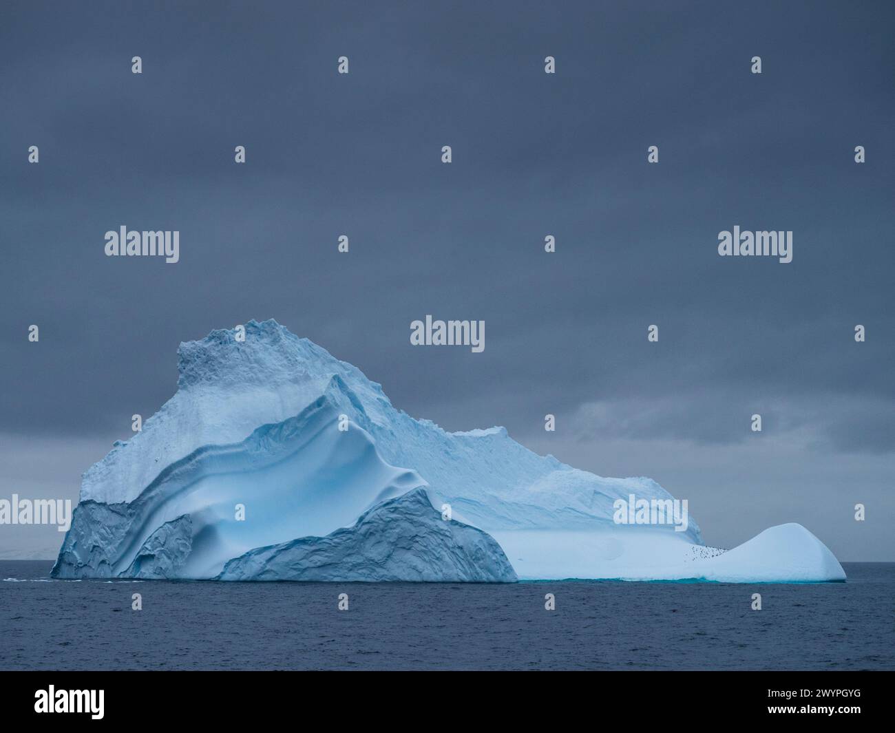 Iceberg dans le détroit de Brandsfield entre les Shetlands du Sud et la péninsule Antarctique. Banque D'Images