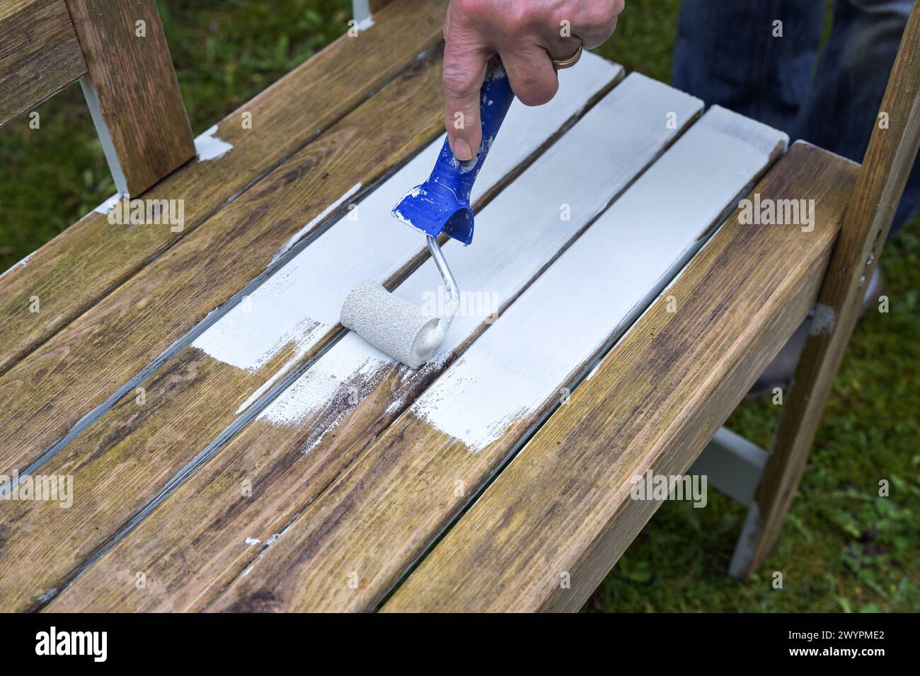 Peinture d'un banc de jardin en bois altéré avec une couche blanche de protection contre les intempéries à diffusion ouverte à l'aide d'un rouleau à peinture, préparation pour la saison extérieure, Banque D'Images