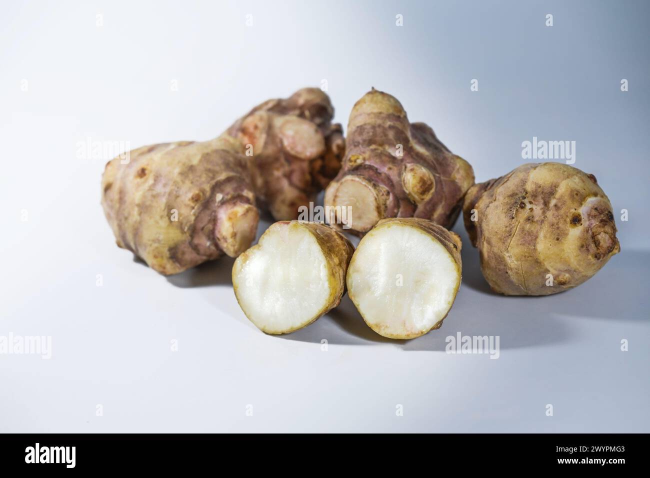 Topinambur (Helianthus tuberosus), espèce de tournesol utilisée comme légume-racine, riche en inuline et donc recommandée pour dia Banque D'Images