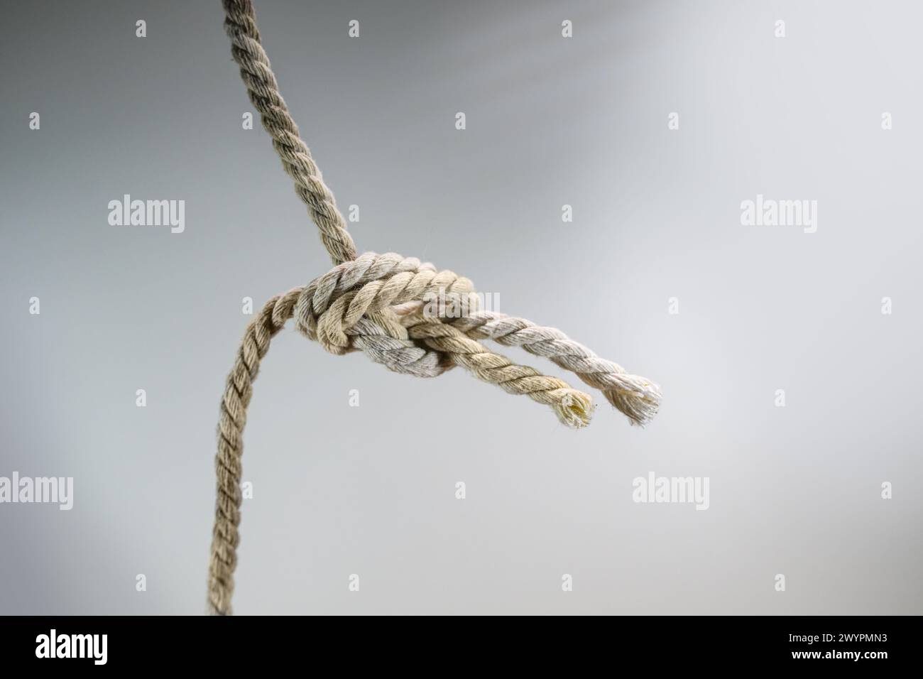 Deux cordes sont attachées ensemble dans un noeud, concept d'entreprise pour le travail d'équipe et la coopération, fond gris, espace de copie, focus sélectionné Banque D'Images