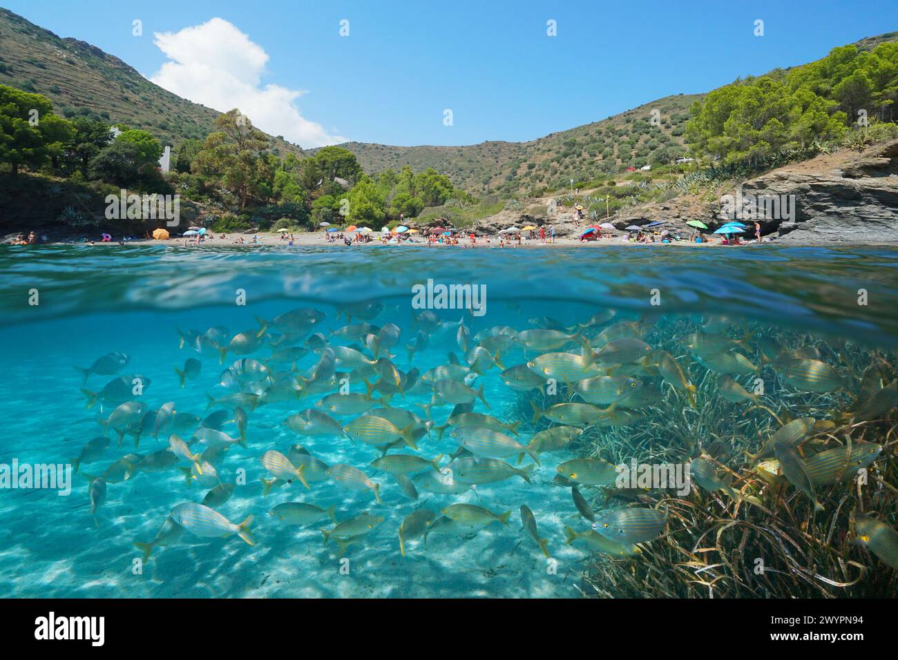 Côte de plage de la mer Méditerranée avec touriste en Espagne et poissons sous l'eau, scène naturelle, vue partagée sur et sous la surface de l'eau, Costa Brava Banque D'Images