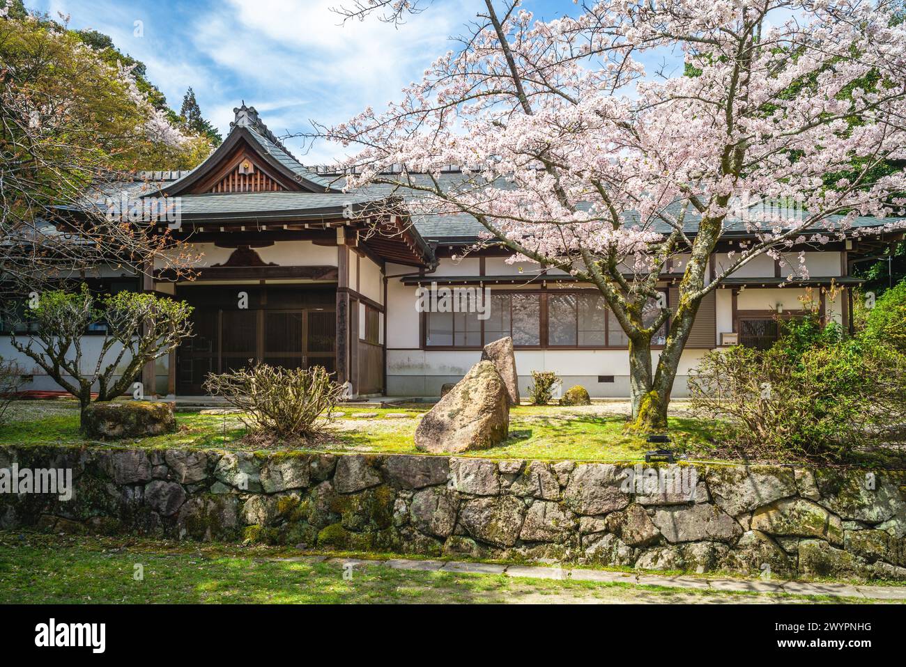 Temple Onjoji, ou Miidera, avec des cerisiers en fleurs au mont Hiei dans la ville d'Otsu à Shiga, Japon Banque D'Images