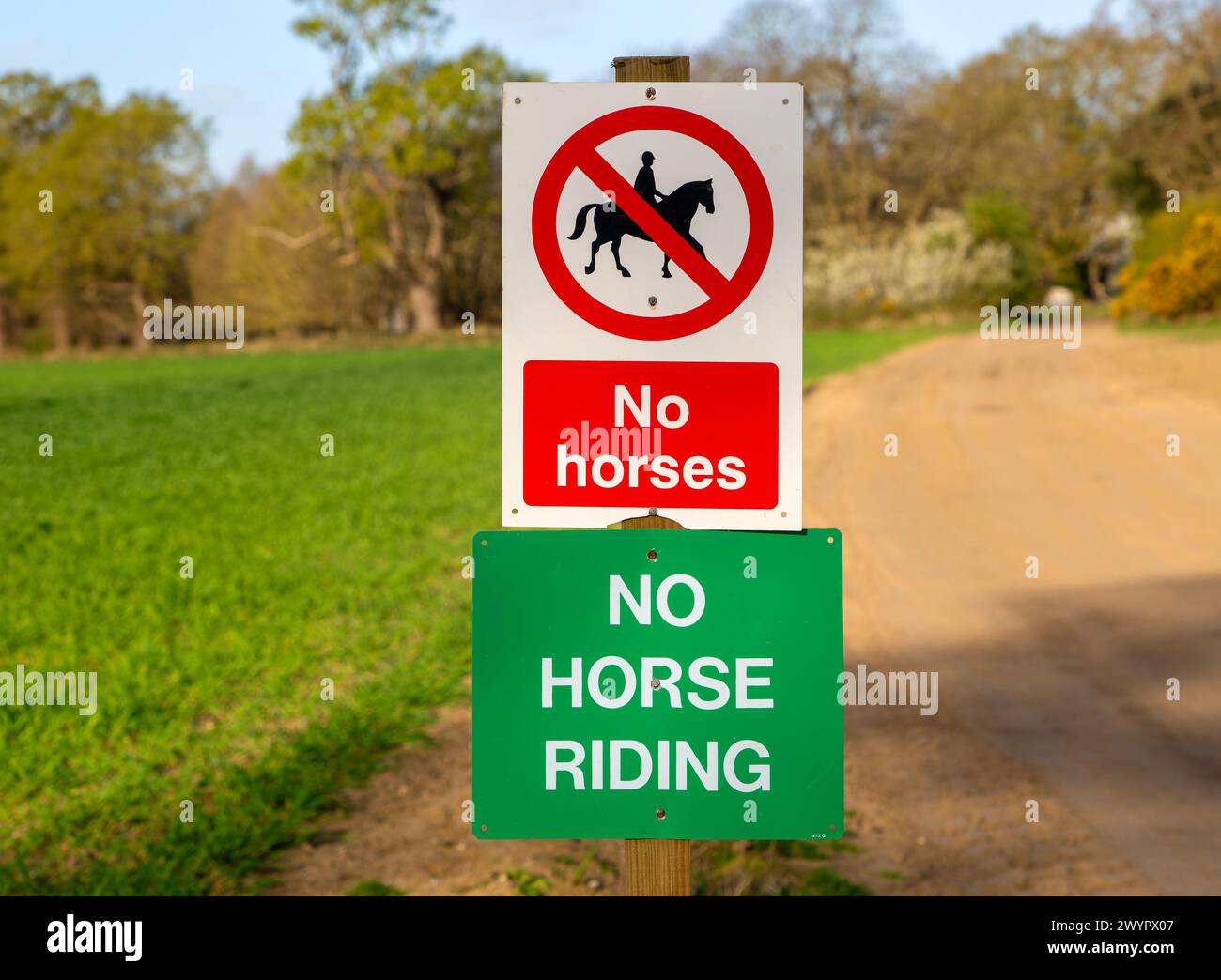 No Horse Riding Sign, Suffolk Sandlings, Shottisham, Angleterre, Royaume-Uni Banque D'Images