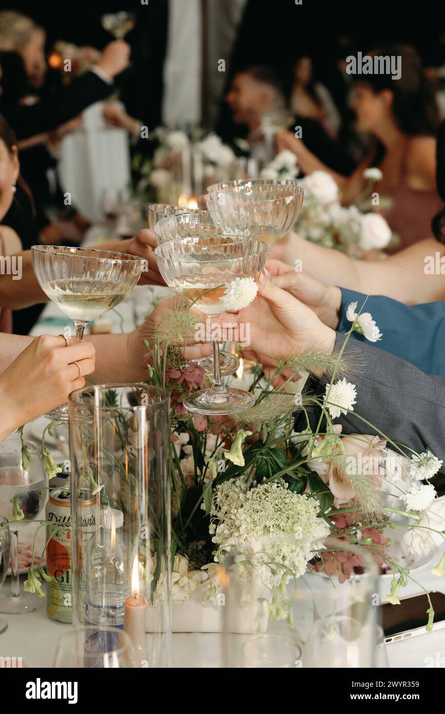 Toast Cheers moment lors d'une élégante réception de mariage Banque D'Images