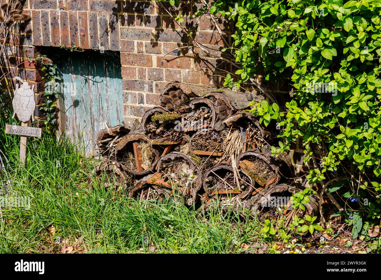 Un hôtel bug à Vann Garden près de Hambledon, Surrey au début du printemps Banque D'Images