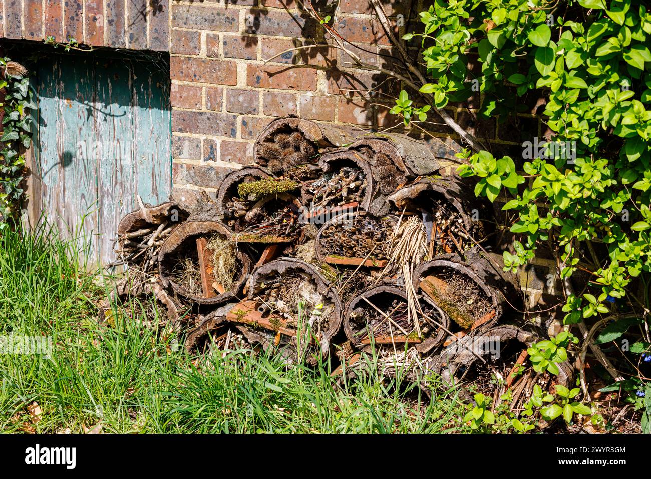 Un hôtel bug à Vann Garden près de Hambledon, Surrey au début du printemps Banque D'Images