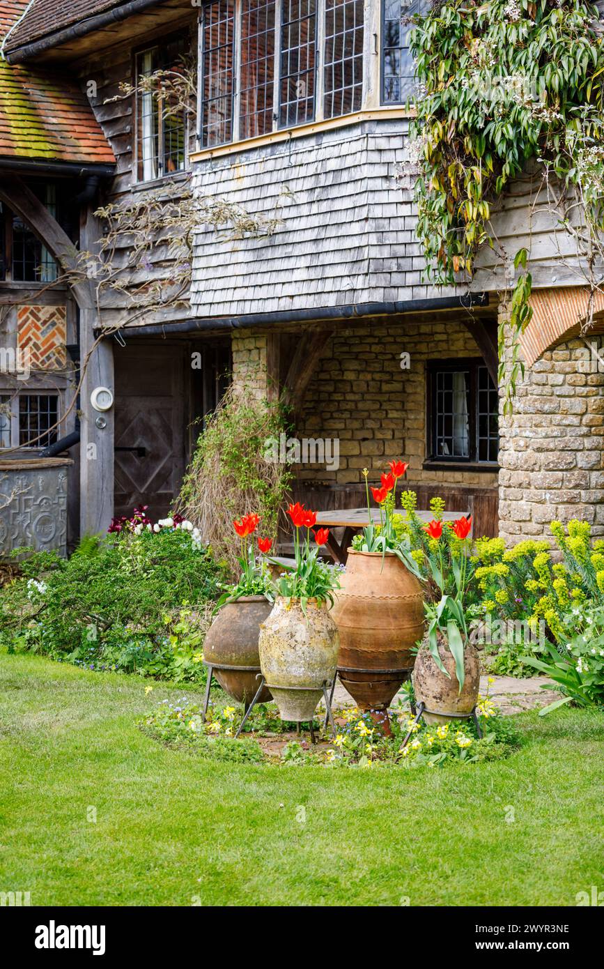 Jolies tulipes rouges fleurissant dans des pots en céramique terre cuite à Vann Garden près de Hambledon, Surrey au début du printemps Banque D'Images