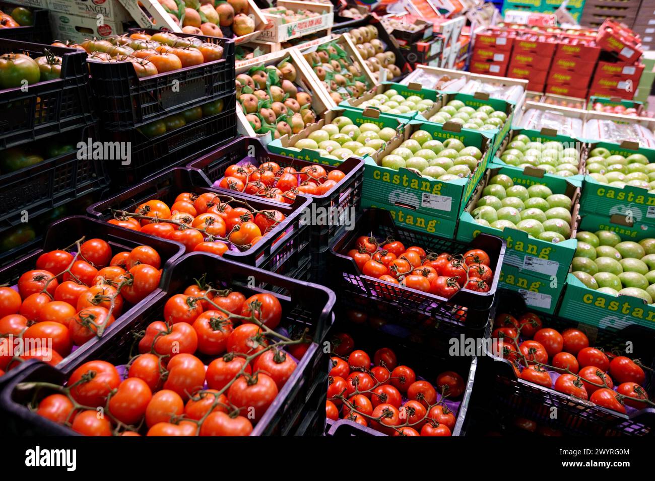 Fruits et légumes Mercabilbao, marché de gros de Basauri, Bilbao, Biscaye, Pays Basque, Espagne. Banque D'Images