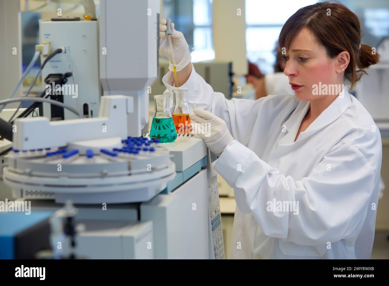GC / MS. Chromatographe en phase gazeuse avec détecteur de masse. Analyse des composés organiques dans les extraits obtenus prétraitement des échantillons. Laboratoire organique. Division de l'énergie et de l'environnement. TECNALIA recherche et innovation. Donostia. San Sebastian. Gipuzkoa. Pays Basque. Espagne. Europe. Banque D'Images