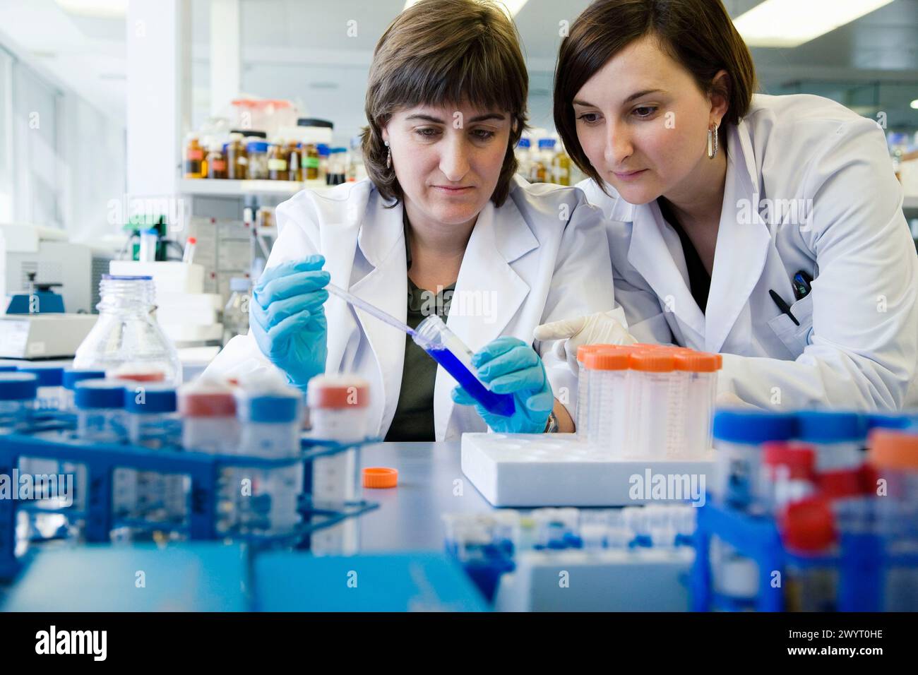 Coloration de substances, laboratoire biopharmaceutique, développement de nouvelles molécules thérapeutiques à base d'anticorps humains pour le traitement des maladies infectieuses et inflammatoires, Biotherapix, Grupo Genetrix, Madrid. Banque D'Images