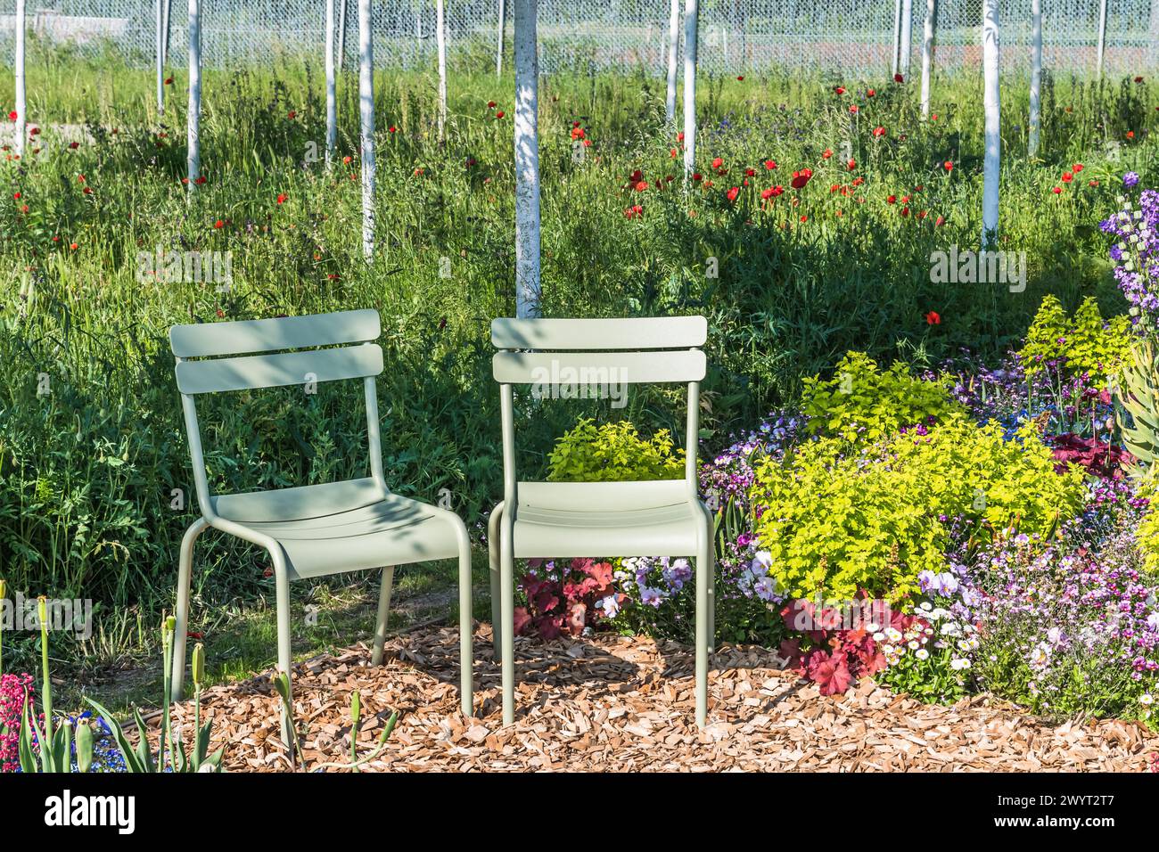 Deux chaises en métal vert clair dans un jardin luxuriant en fleurs Banque D'Images