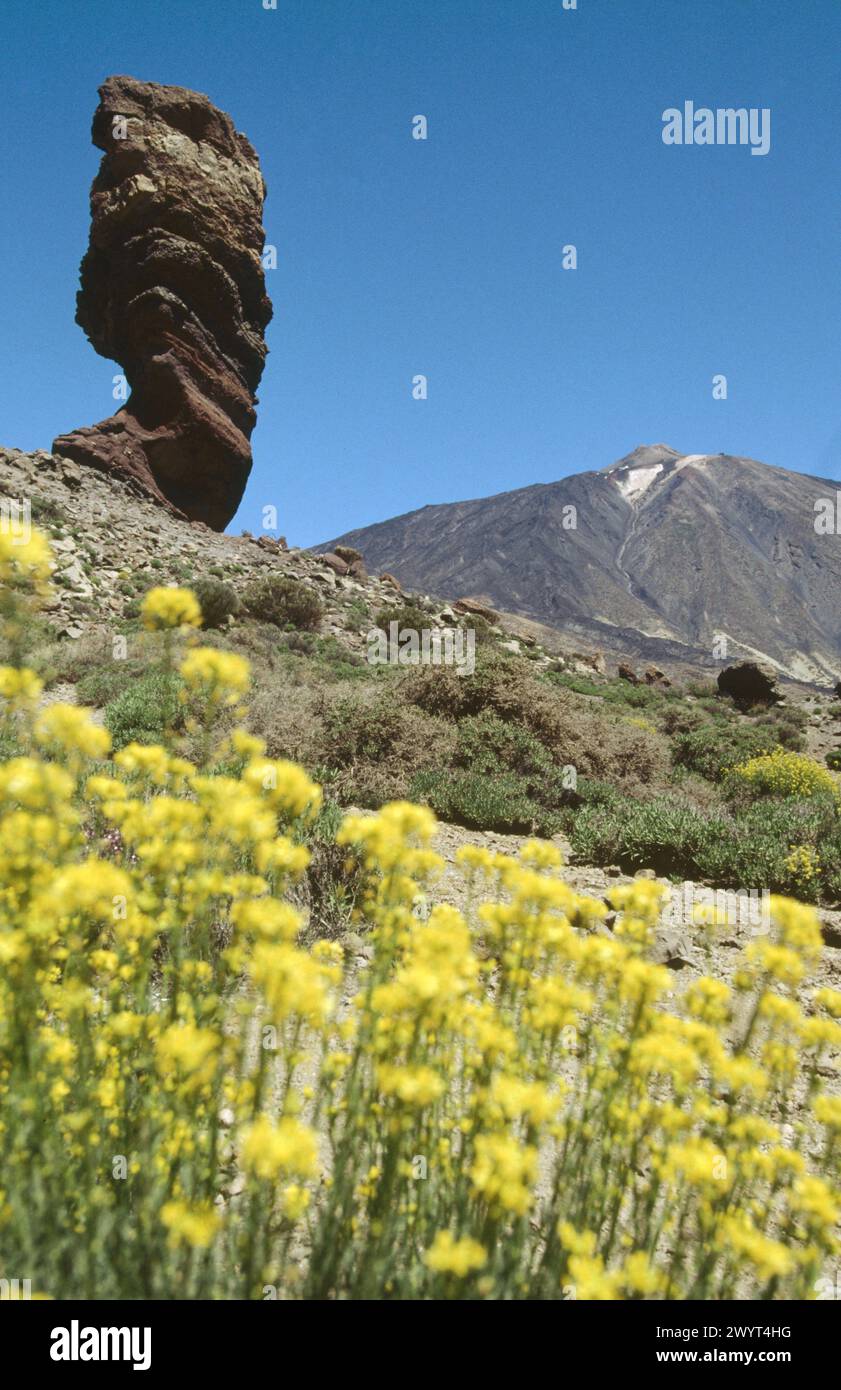 Volcan Teide. Parc national de Cañadas del Teide. Tenerife. Îles Canaries. Espagne. Banque D'Images