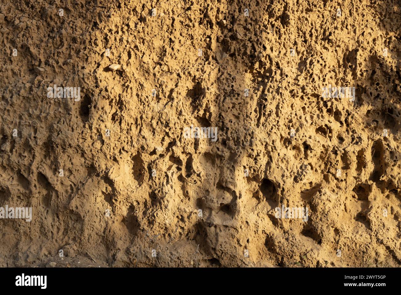 Formation jaune roche poreuse ensoleillée Banque D'Images