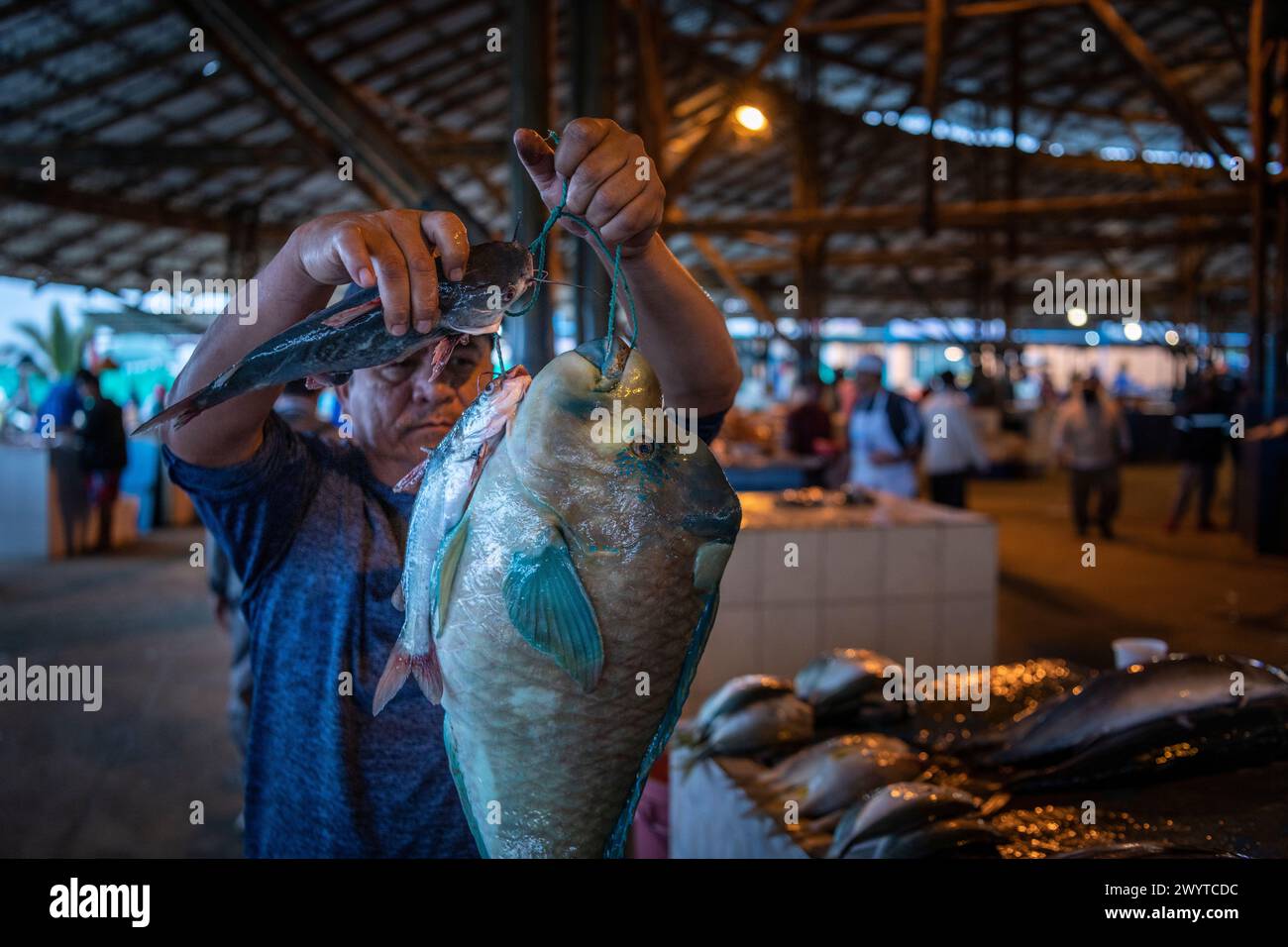 Fishmarket, Manta, Manabi, Équateur Banque D'Images