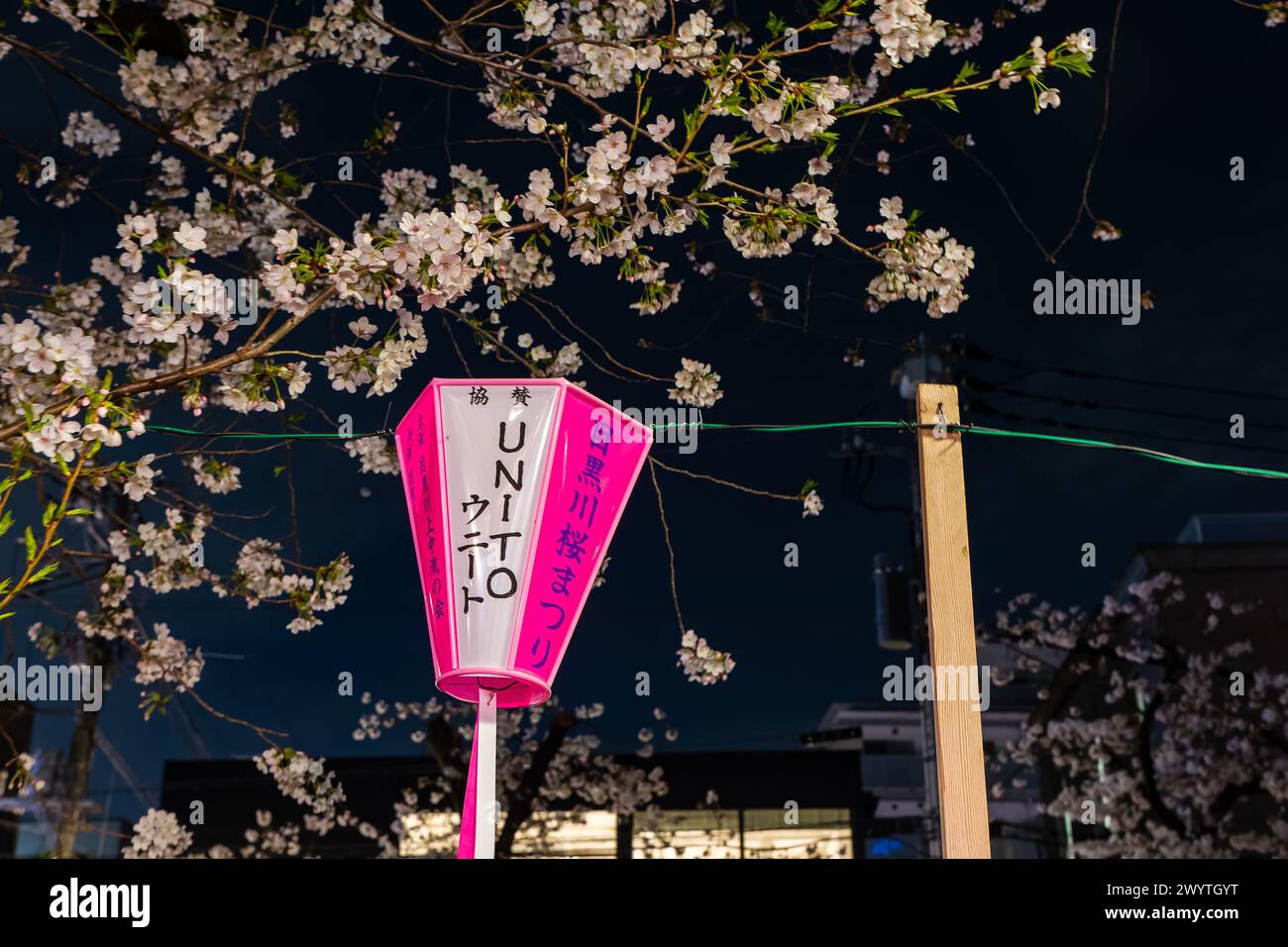 TOKYO, JAPON - 06 AVRIL 2024 : foules de gens célébrant Hanami (floraison de cerisiers) le long de la rivière Meguro à Tokyo. Banque D'Images