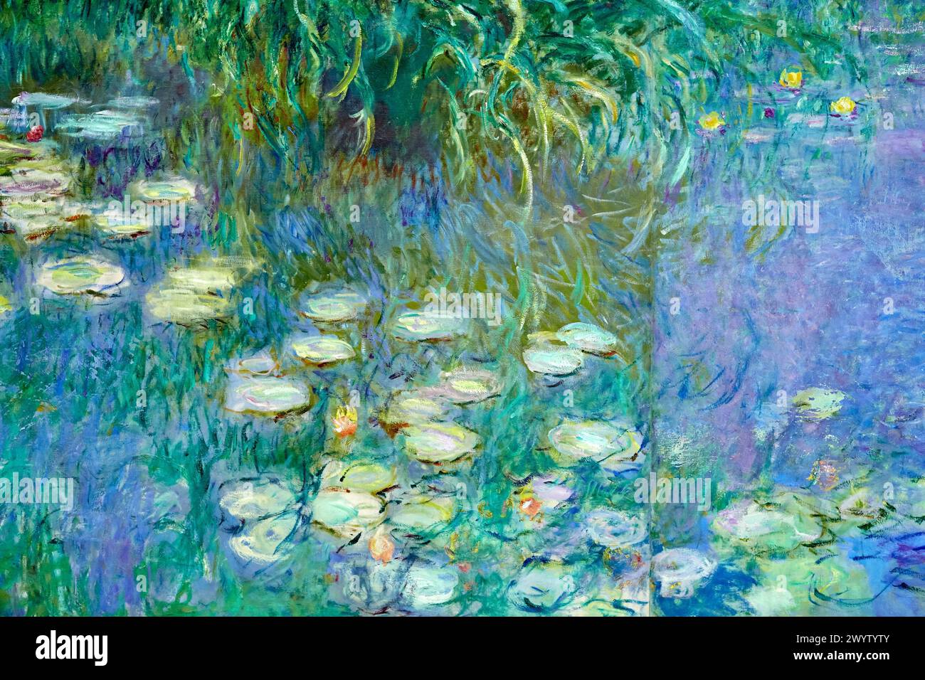 Nénuphars série Nymphéas peinte par Claude Monet, Musée de l'Orangerie, Tuileries, Paris, France. Banque D'Images