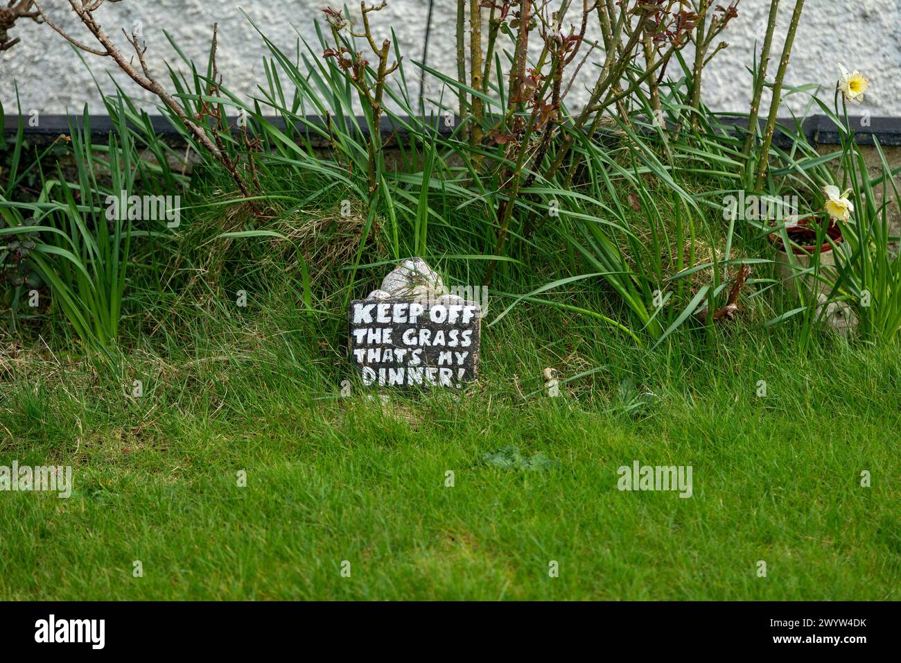 Panneau indiquant aux gens de ne pas avoir de gazon parce que les animaux en mangent, Malltraeth, Anglesey Island, pays de Galles, Grande-Bretagne Banque D'Images