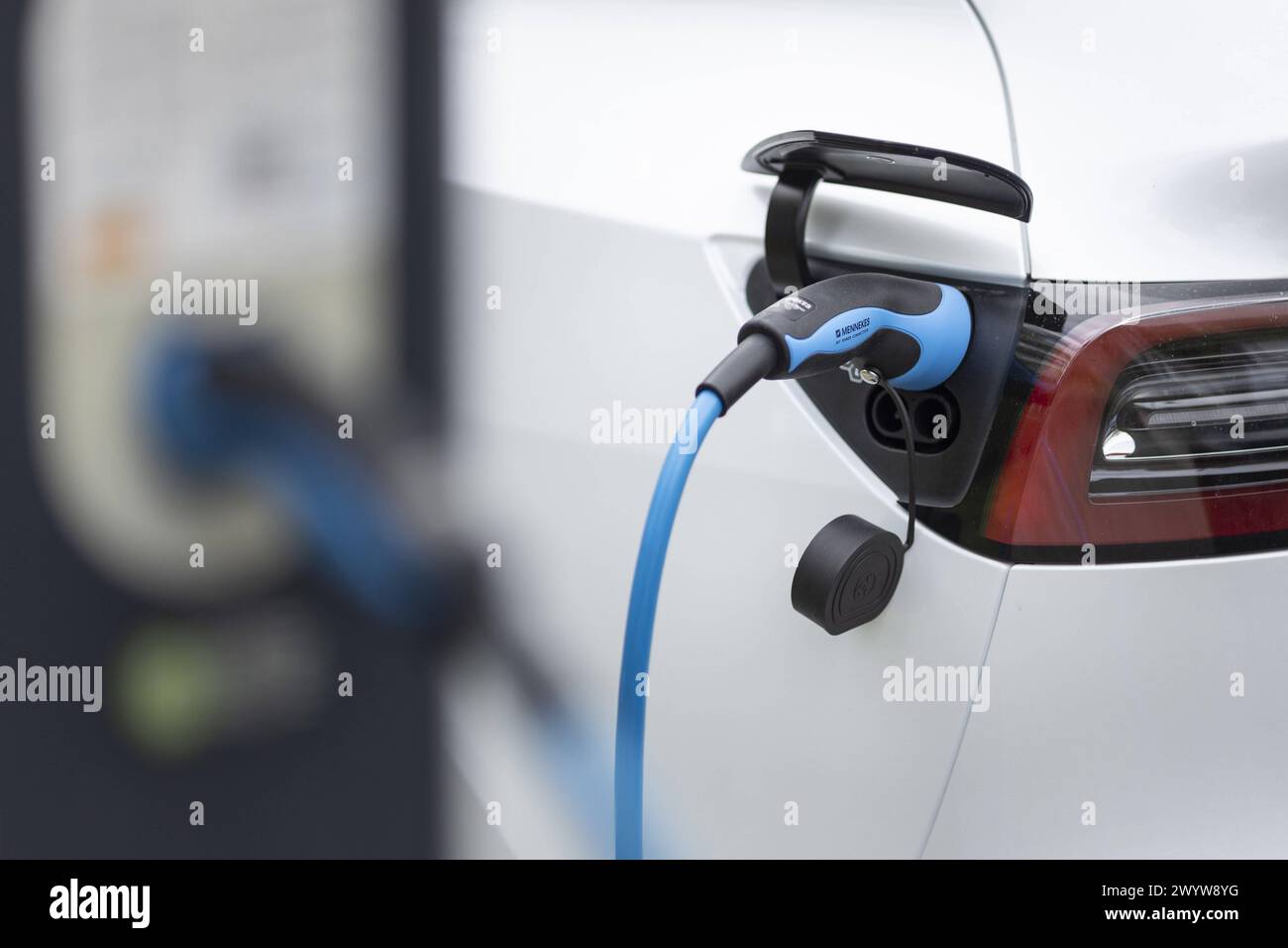 Ein weisses Elektroauto vom Tesla wird mit Strom aufgeladen, Berlin, 08.04.2024. Berlin Deutschland *** Une voiture électrique Tesla blanche en cours de charge wi Banque D'Images