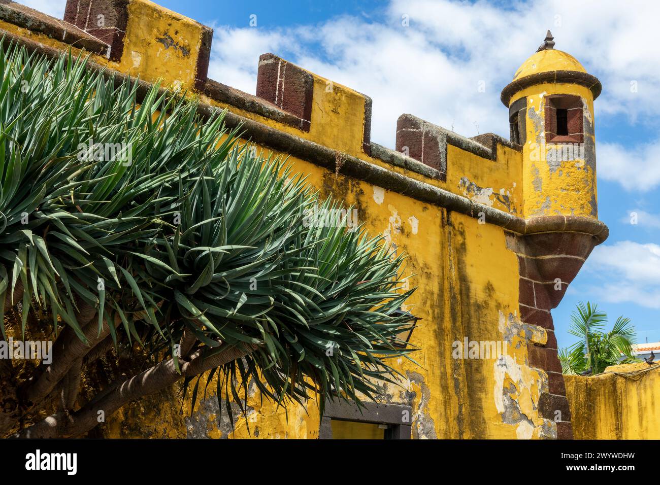 Sao Tiago fort, forteresse jaune colorée à Funchal, île de Madère au Portugal Banque D'Images