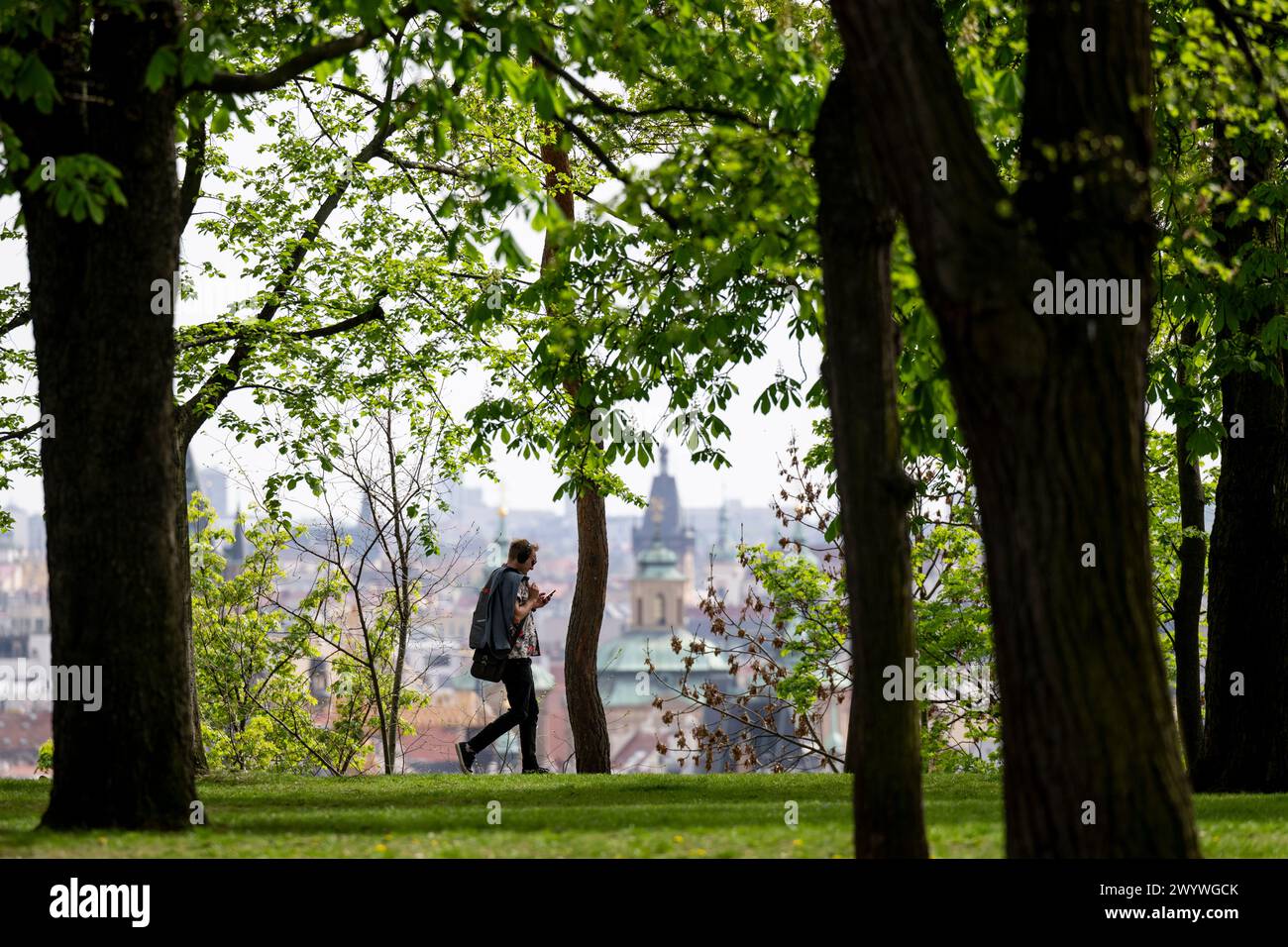 Prague, République tchèque. 08 avril 2024. Un homme marche dans le parc sady de Letenske par temps chaud et ensoleillé, Prague, République tchèque, 8 avril 2024. Crédit : Ondrej Deml/CTK photo/Alamy Live News Banque D'Images