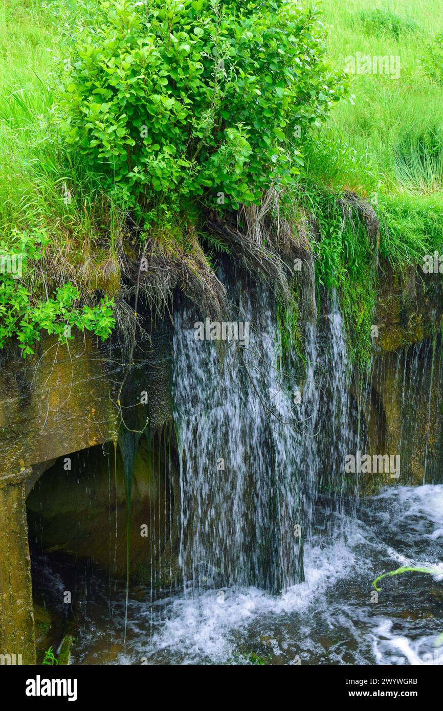 Des ruisseaux d'eau coulent du lac. Barrage. Drainage du lac. Banque D'Images