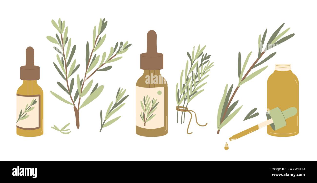 Ensemble d'huile essentielle de romarin isolé sur fond blanc. Bouteilles compte-gouttes en verre ambré d'huile avec des feuilles vertes de branche d'herbes fraîches. Vecteur main simple dr. Illustration de Vecteur