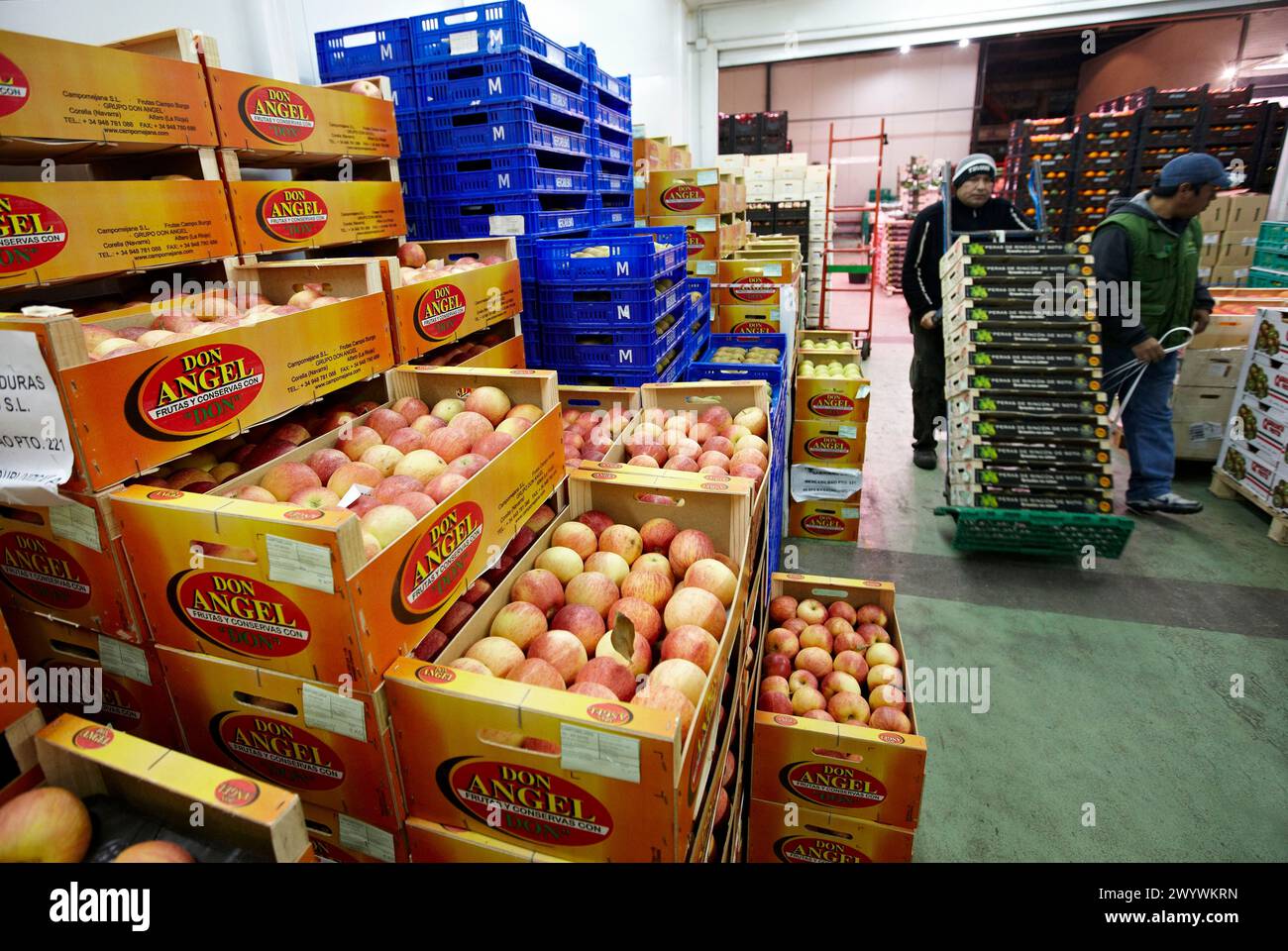 Les pommes, les fruits et légumes Mercabilbao, marché de gros de Basauri, Bilbao, Biscaye, Pays Basque, Espagne. Banque D'Images