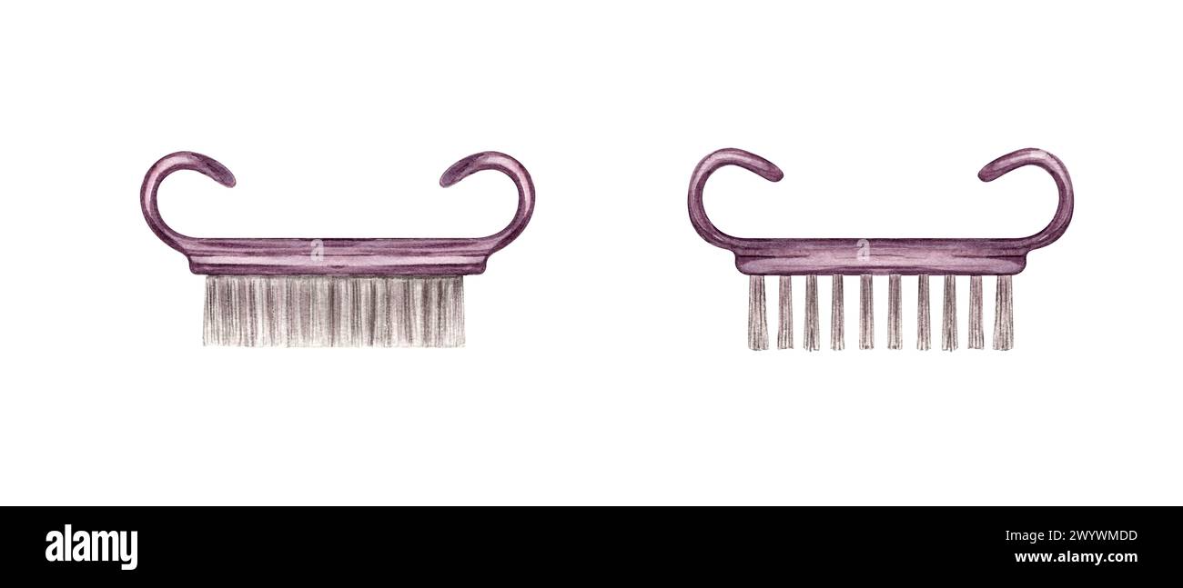 Brosse à ongles poignée. Brosses de pédicure pour hommes et femmes. Brosses de nettoyage pour ongles pour le nettoyeur d'orteils et d'ongles. Outils de manucure Banque D'Images