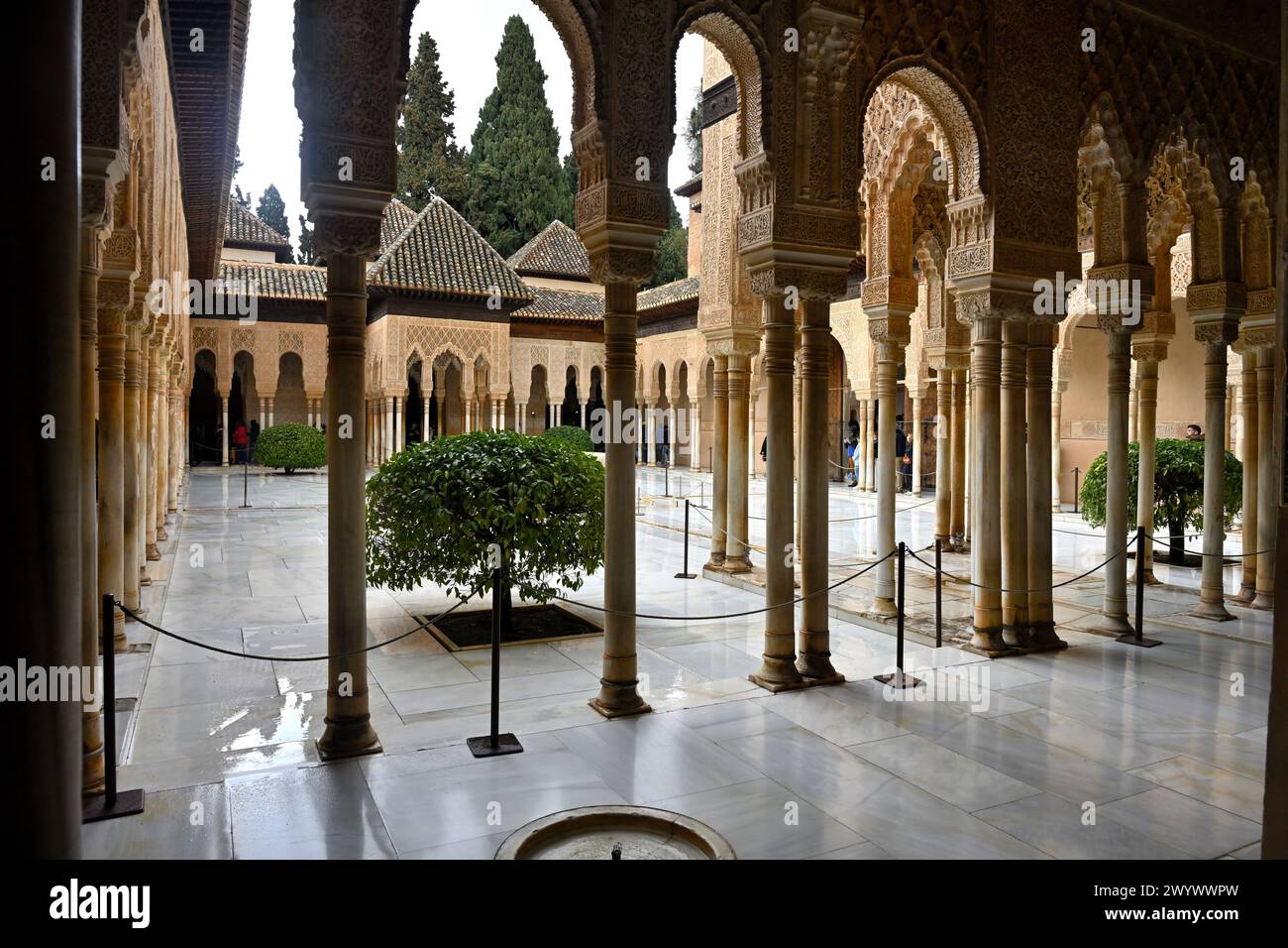 Cour des Lions avec colonnes voûtées, Palais Nasrides, Palais de l'Alhambra, Grenade, Espagne Banque D'Images