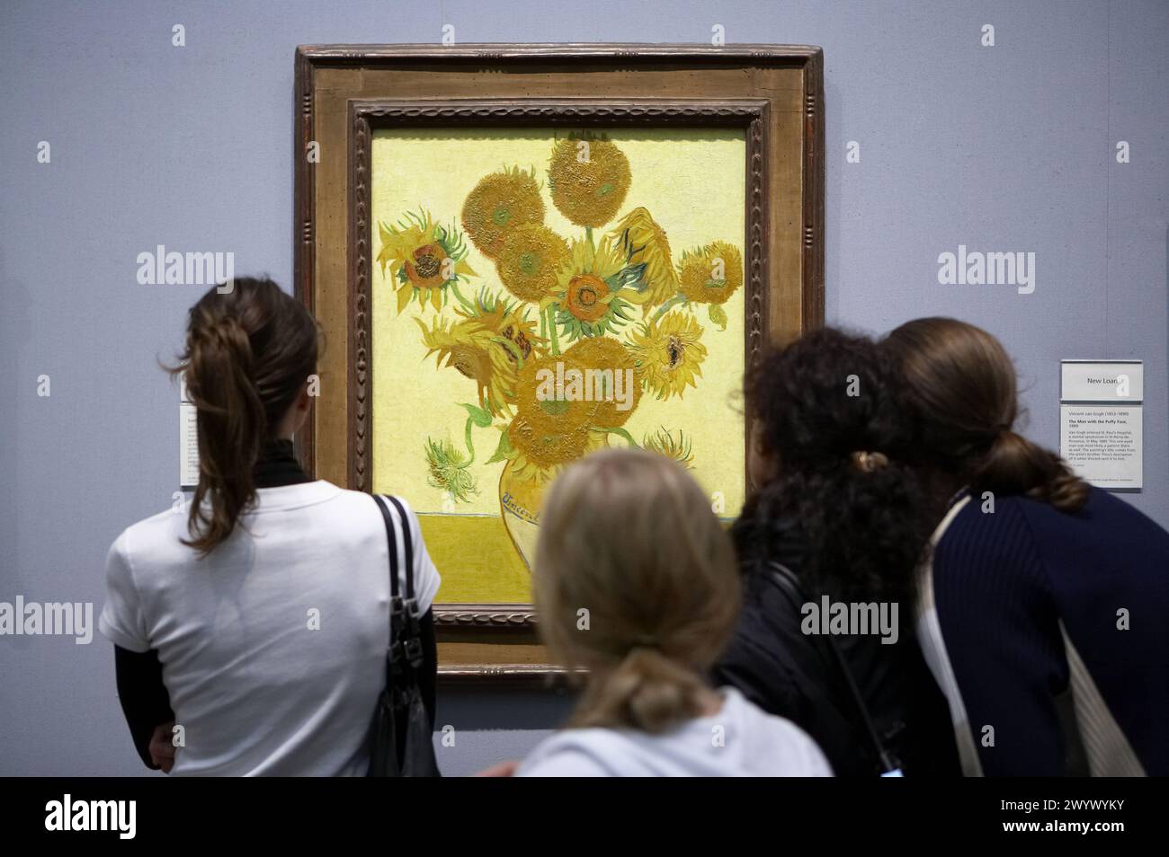 Tournesols, par Vincent Van Gogh, National Gallery, Londres. Angleterre. ROYAUME-UNI. Banque D'Images