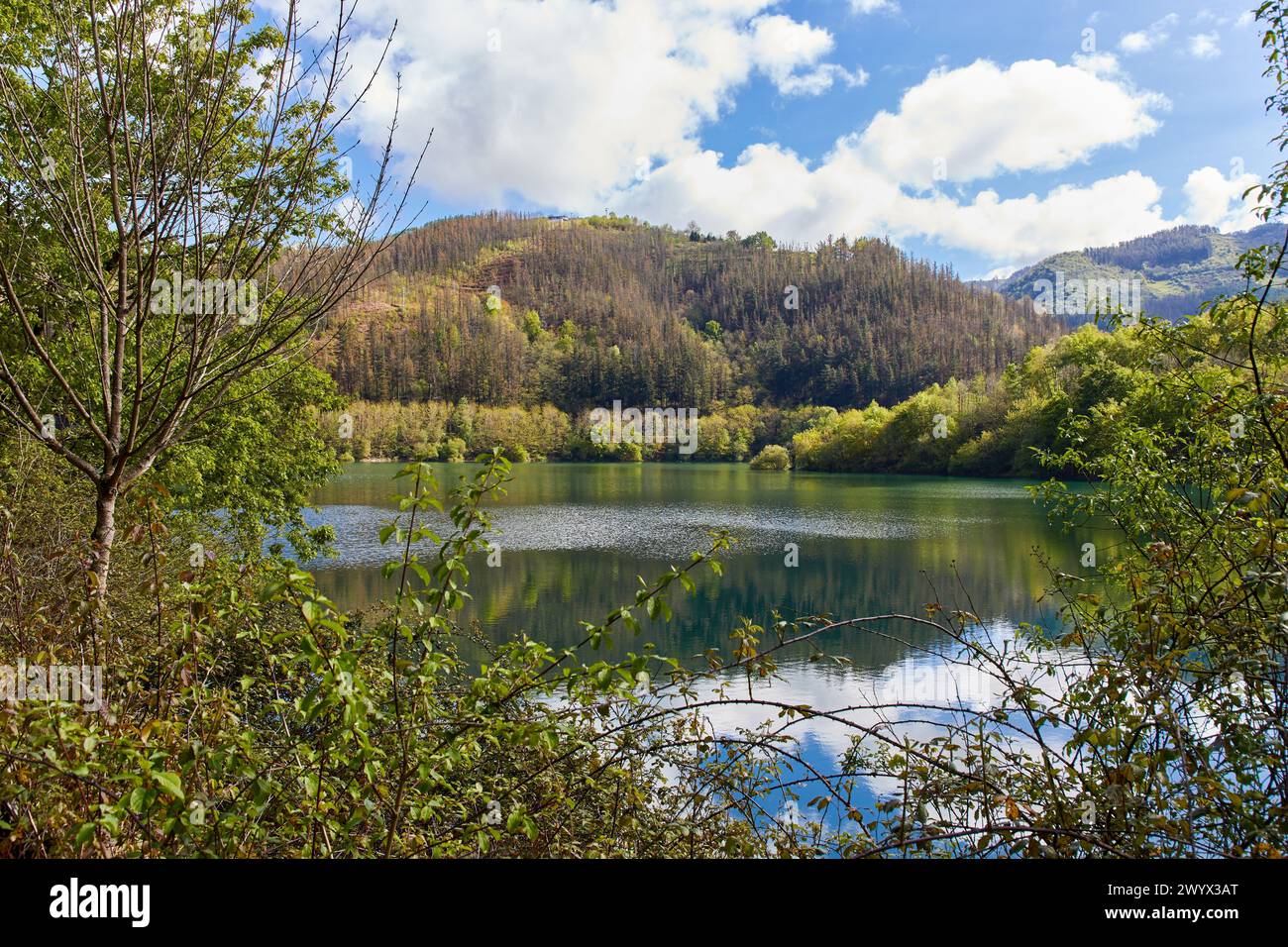 Réservoir Ibai-Eder, rivière Ibaider, Nuarbe, Gipuzkoa, pays Basque, Espagne. Banque D'Images