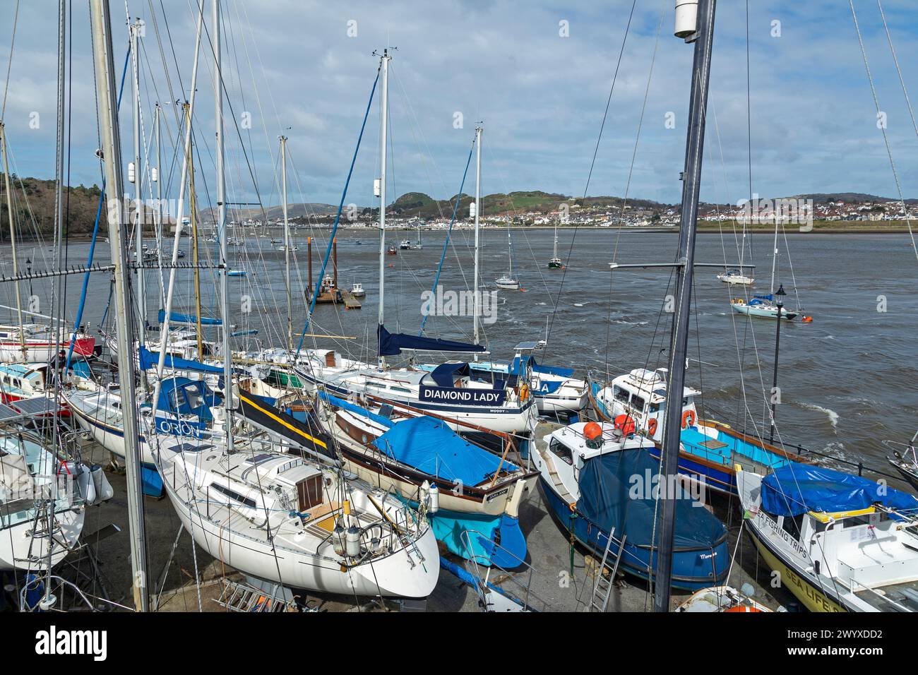 Bateaux à voile, port de plaisance, Conwy, pays de Galles, Grande-Bretagne Banque D'Images