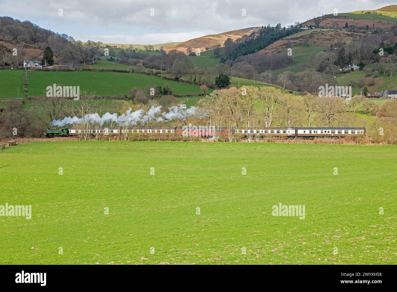 Train à vapeur Llangollen Railway près de Glyndyfrdwy, pays de Galles, Grande-Bretagne Banque D'Images