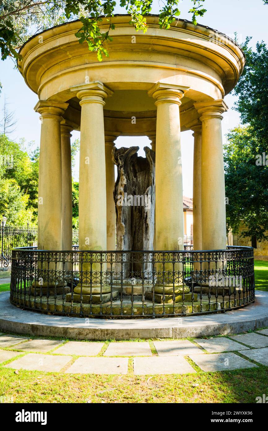 Le «vieil arbre» de Guernica à l'intérieur de ses tholos. Casa de Juntas de Guernica - Maison de l'Assemblée de Gernika. Guernica y Luno, Vizcaya, País Vasco, Espagne, EUR Banque D'Images