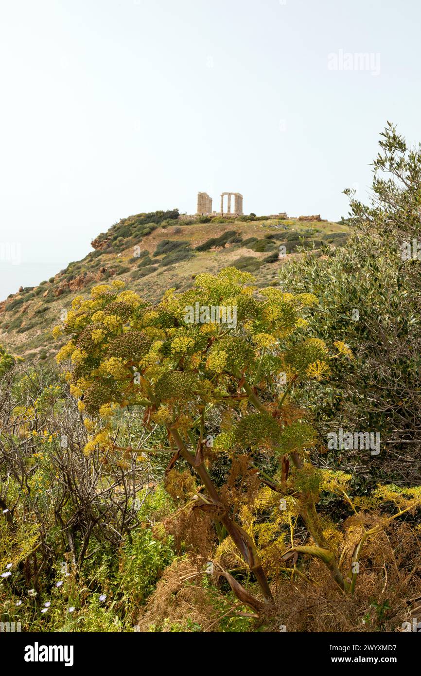 Temple de Poséidon au cap Sounion, construit vers 440 av. J.-C. Attique, Grèce. Banque D'Images