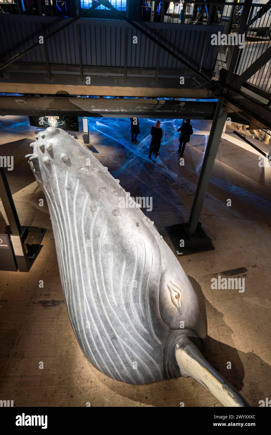 Exposition plante Ozean dans le gazomètre à Oberhausen, les océans dans leur beauté fragile sont au centre de la nouvelle exposition, photos grand format, e. Banque D'Images