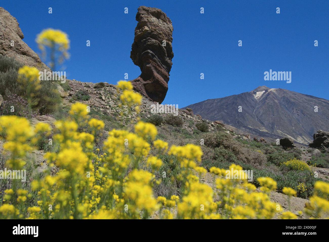 Volcan Teide. Parc national de Cañadas del Teide. Tenerife. Îles Canaries. Espagne. Banque D'Images