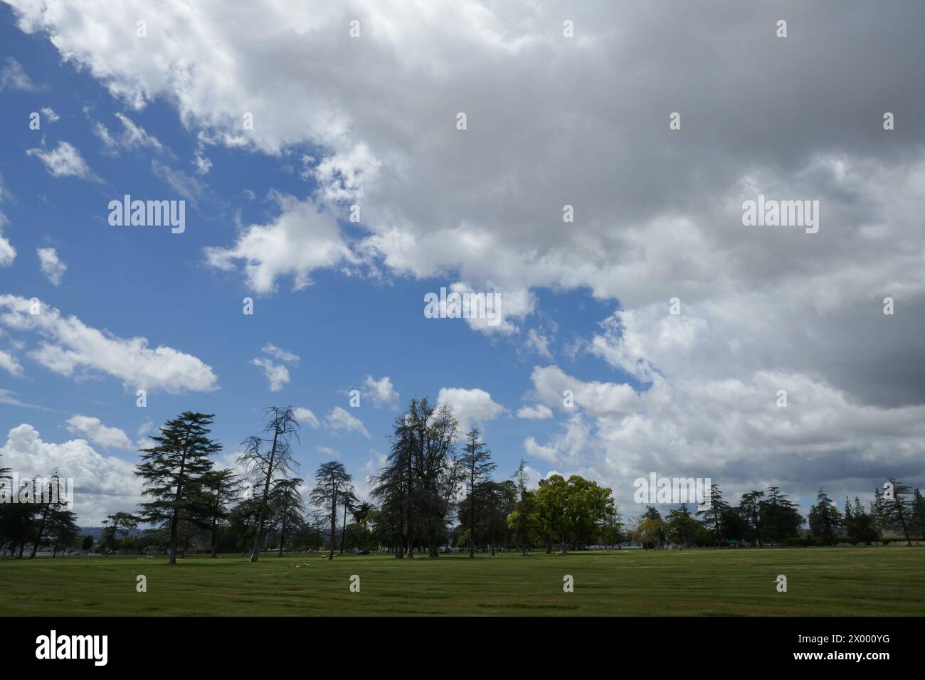 North Hollywood, Californie, USA 5 avril 2024 nuages et ciel bleu au Pierce Brothers Valhalla Memorial Park le 5 avril 2024 à North Hollywood, Californie, USA. Photo de Barry King/Alamy Stock photo Banque D'Images