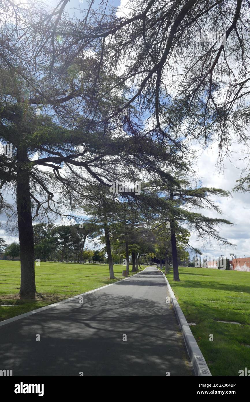 North Hollywood, Californie, États-Unis 5 avril 2024 Pierce Brothers Valhalla Memorial Park le 5 avril 2024 à North Hollywood, Californie, États-Unis. Photo de Barry King/Alamy Stock photo Banque D'Images