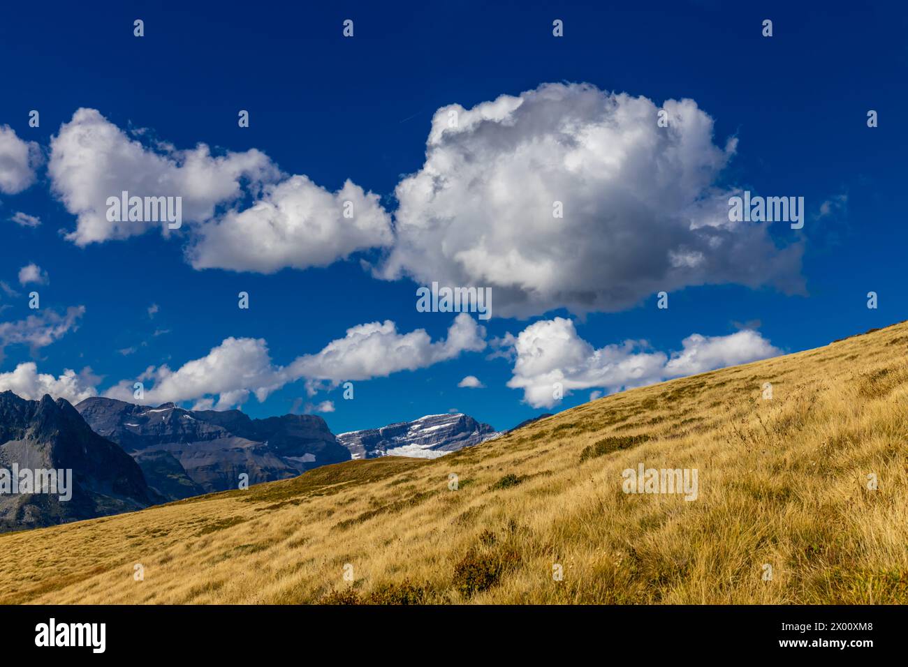 Temps ensoleillé dans les montagnes des Alpes avec quelques nuages. Tour du Montblanc trekking vallée de Chamonix pittoresque montagne ladscape roky Peaks et herbe verte Banque D'Images