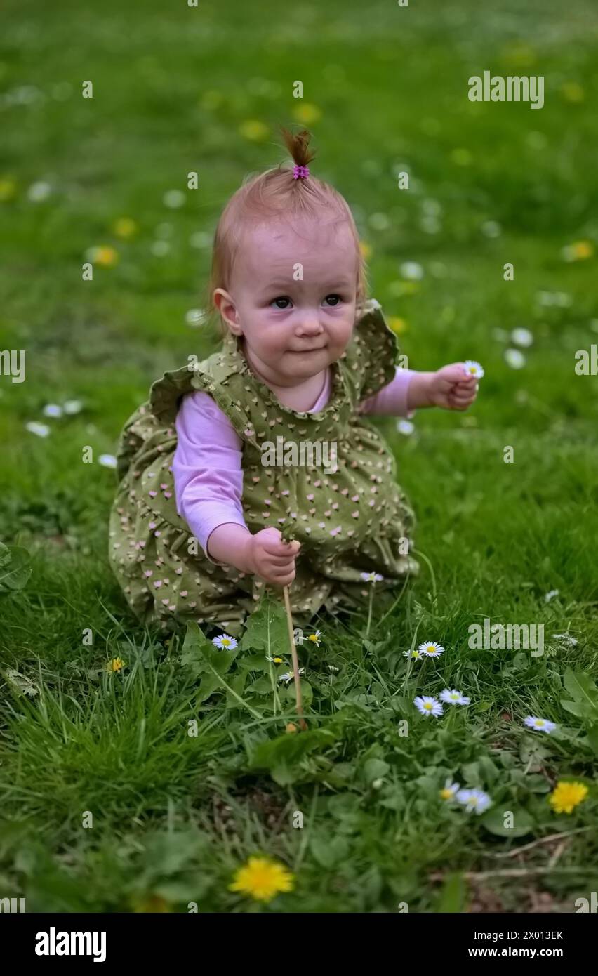 Une petite fille s'accroupit dans l'herbe et cueille des fleurs Banque D'Images