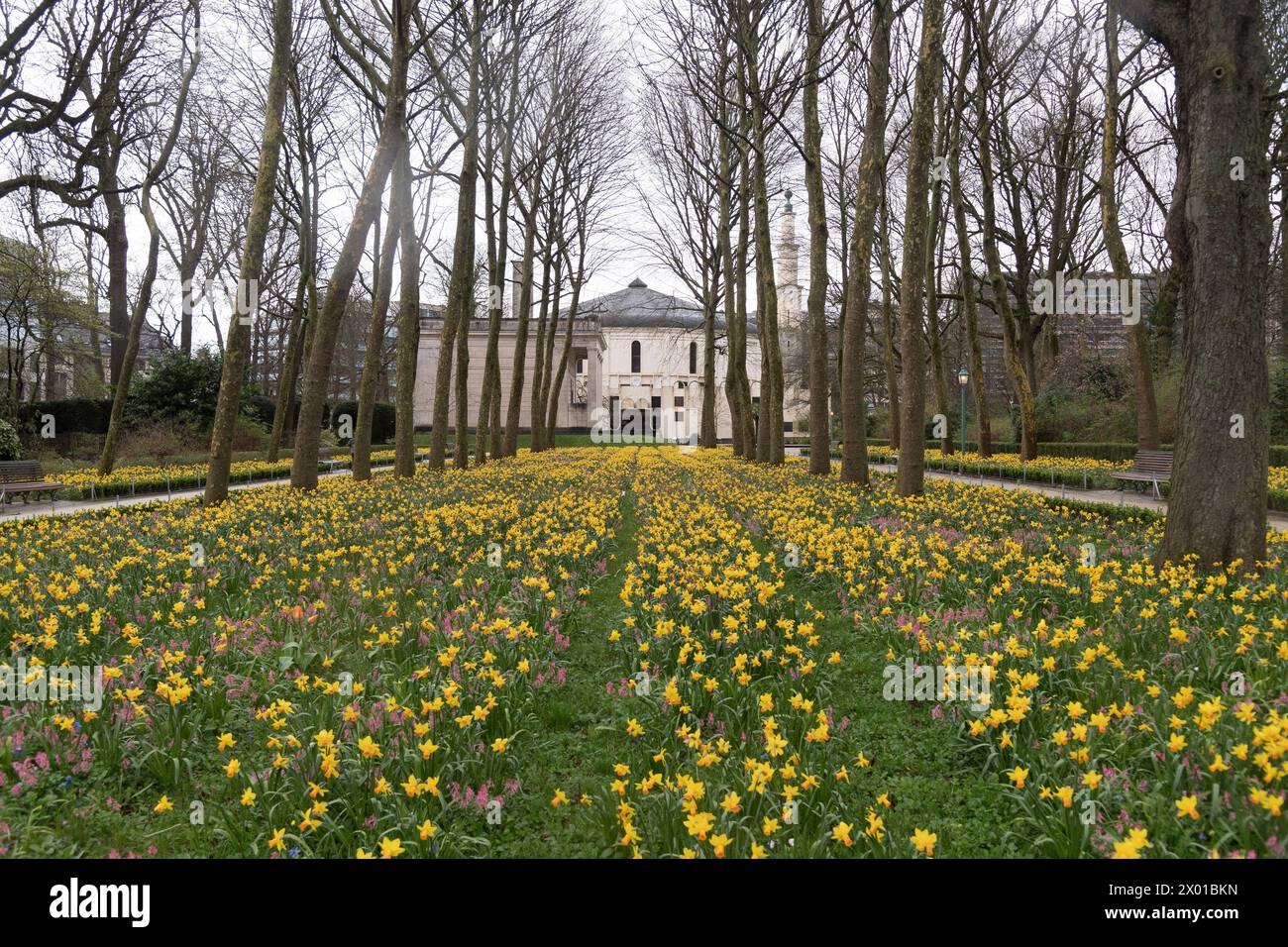 Grande mosaïque de Bruxelle / Grote Moskee van Brussel (Grande Mosquée