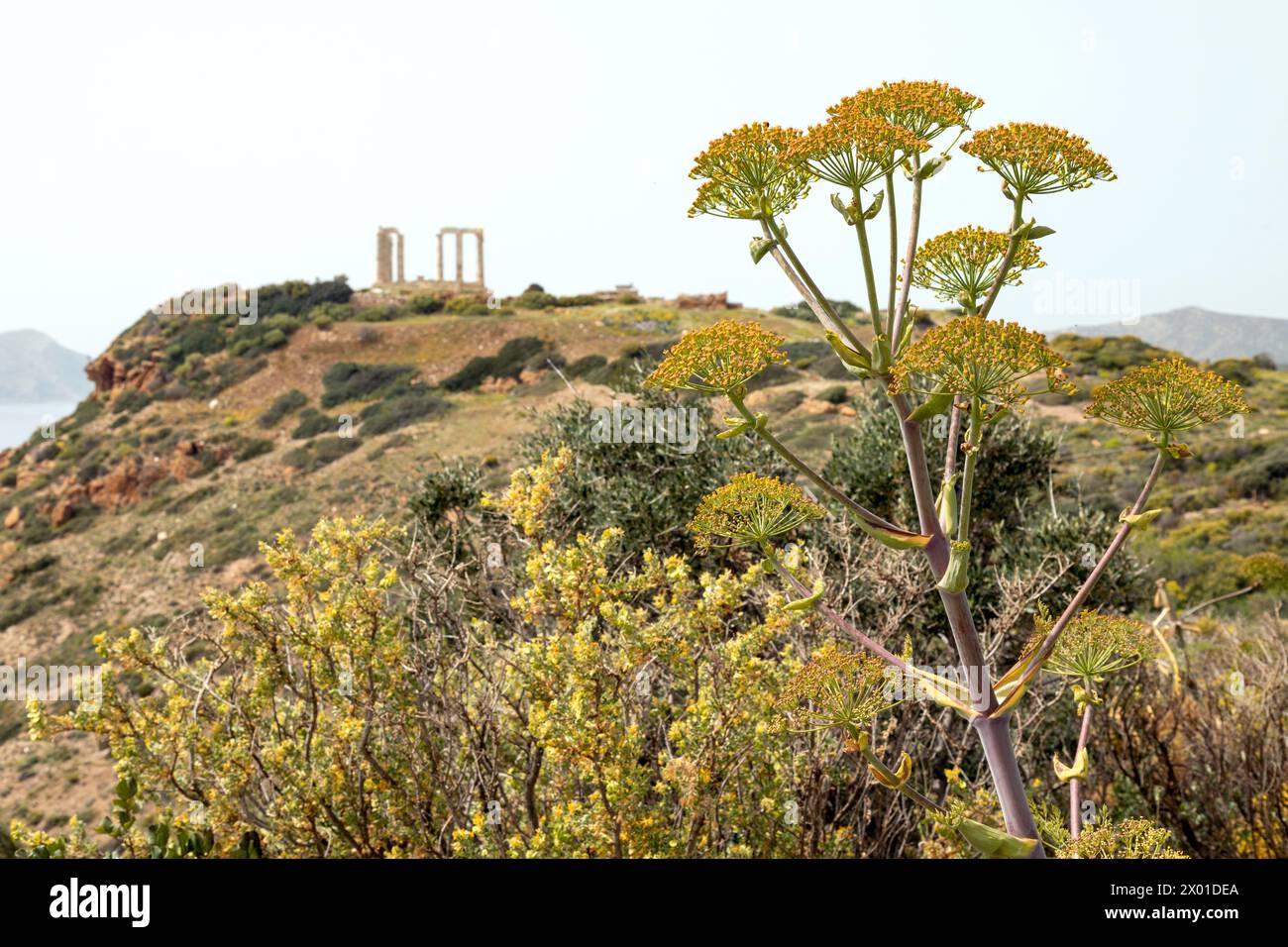 Temple de Poséidon au cap Sounion, construit vers 440 av. J.-C. Attique, Grèce. Banque D'Images