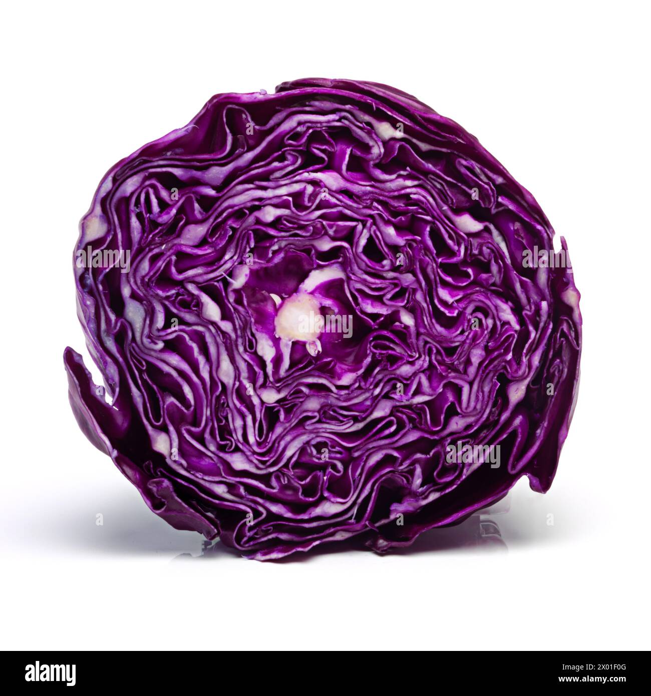 Rouge, chou et studio en fond blanc pour végétalien, repas et préparation dans une alimentation saine pour le bien-être. Frais, bio et végétal dans les aliments pour salade Banque D'Images