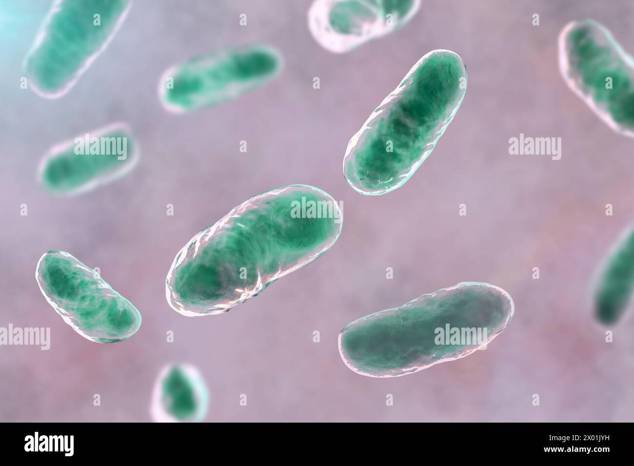 Illustration de la bactérie haemophilus influenzae, connue pour causer des infections respiratoires comme la pneumonie et la méningite. Banque D'Images