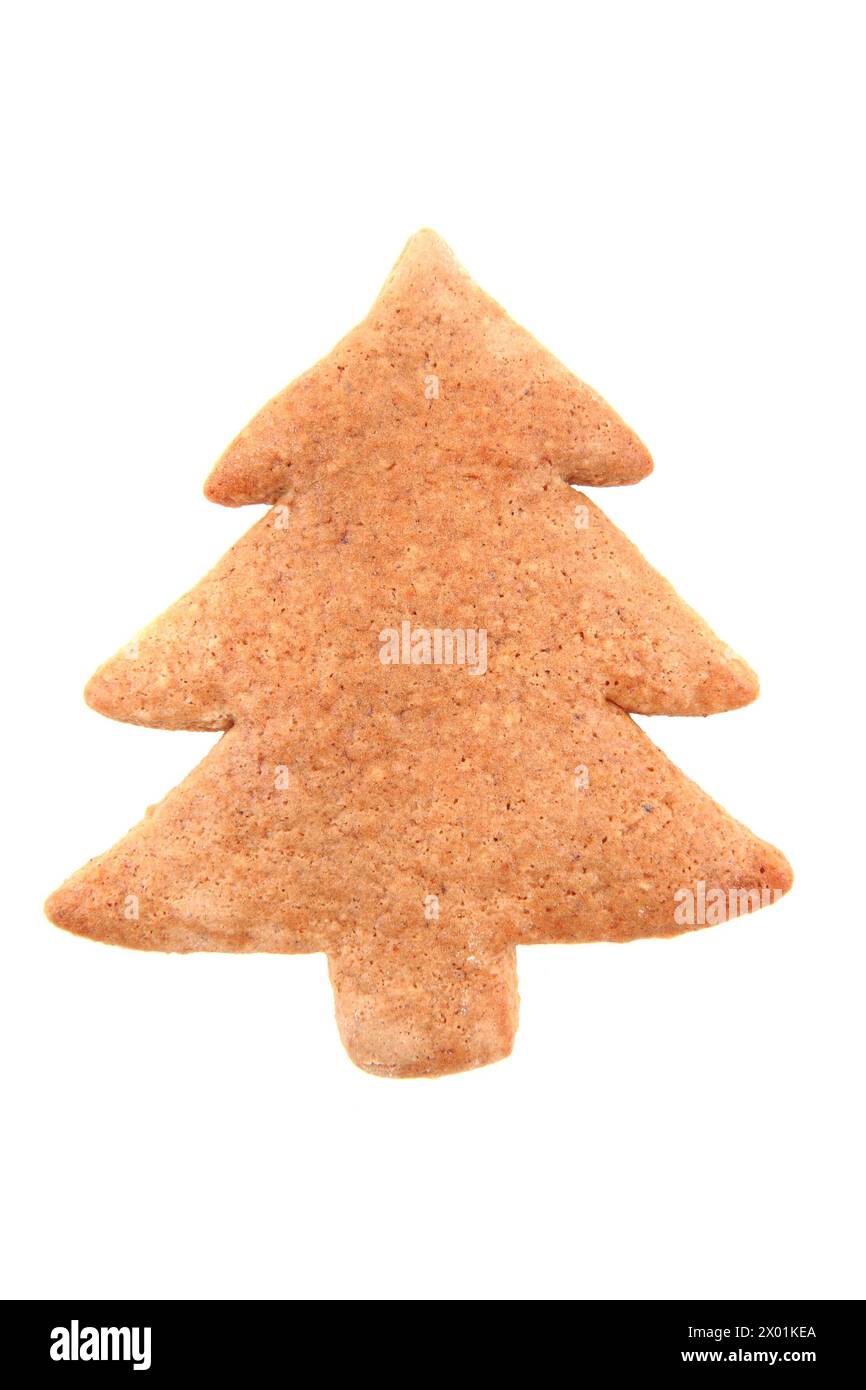 arbre à pain au gingembre isolé sur le fond blanc Banque D'Images