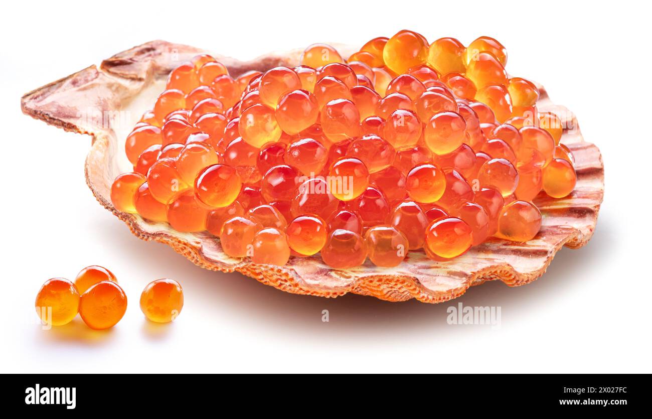 Caviar rouge ou oeufs de saumon en coquille Saint-Jacques isolé sur fond blanc. Image conceptuelle des fruits de mer. Banque D'Images