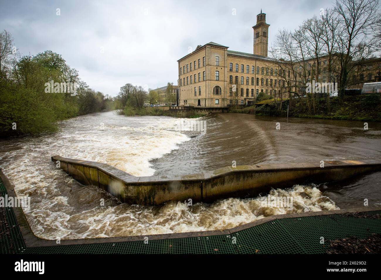 West Yorkshire, Royaume-Uni. 9 avril 2024. Météo britannique. Les fortes pluies au lendemain de la tempête Kathleen dans le village modèle historique de Saltaire, Bradford, dans le West Yorkshire, dans le Victoria, gonflent le niveau des rivières et rendent la vie à l'extérieur plus agréable pour les canards que pour les marcheurs. Saltaire est un village modèle victorien à Shipley, dans le West Yorkshire, en Angleterre, situé entre la rivière aire, le chemin de fer et le canal de Leeds et Liverpool. Salt's Mill et les maisons ont été construites par Titus Salt entre 1851 et 1871 pour permettre à ses ouvriers de vivre dans de meilleures conditions que les bidonvilles de Bradford. Crédit : Windmill images/Alamy Live News Banque D'Images