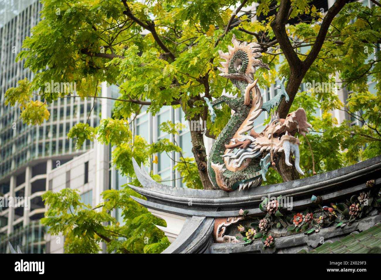 Musée de la boîte musicale de Singapour, zone centrale, Singapour, Asie Banque D'Images